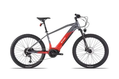 Yetişkin Elektrikli Şehir Bisikletleri