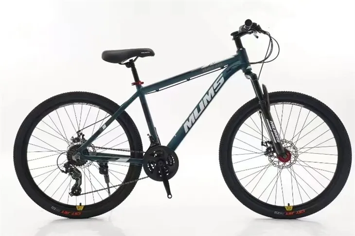 Beginner Mountain Bike