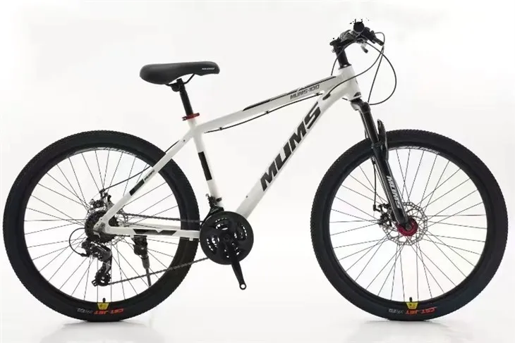 Beginner Mountain Bike