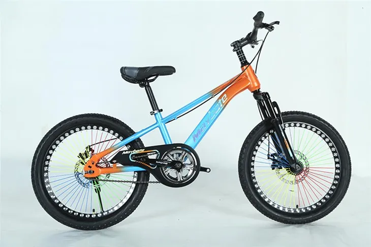 Renkli Çocuk Bisikleti